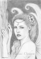 Moon Fairy